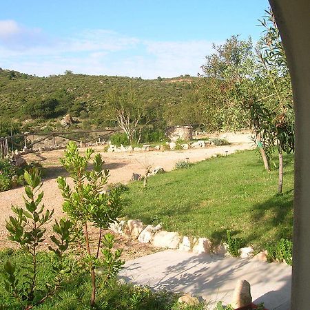 Bed and Breakfast Punto Di Ristoro Uttolo Baunei Exterior foto